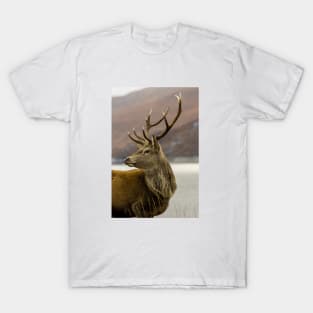 Red Deer Stag T-Shirt